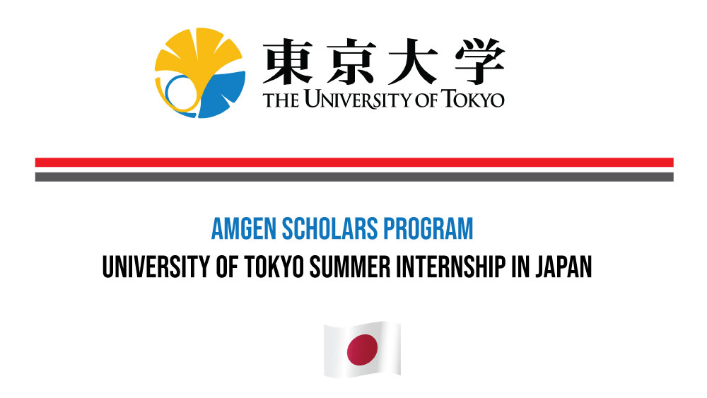 University of Tokyo Summer Internship in Japan